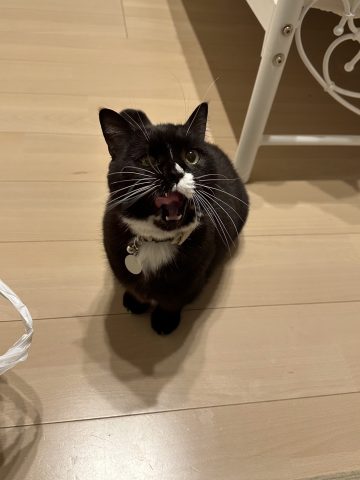 私の家族！！