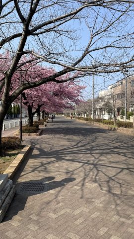 いこいの森公園にて