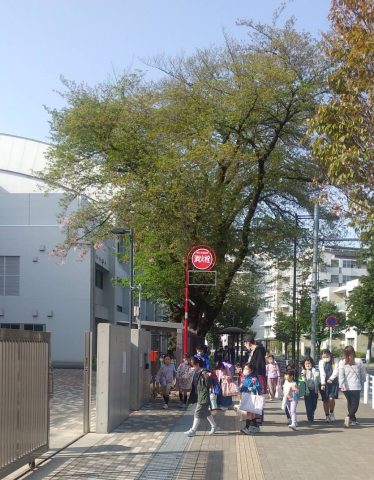 新学期が始まりました。
