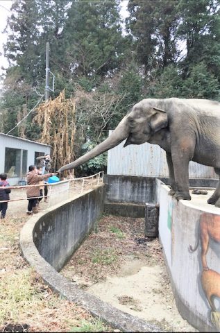 宇都宮動物園🙉😼🐼