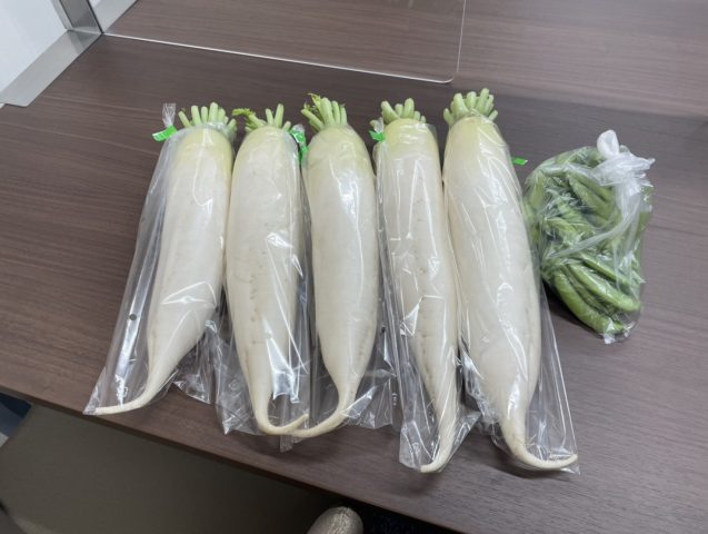 大根をいただきました。