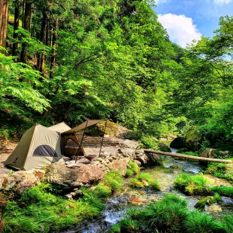 山奥でタイごはん