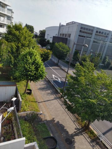 わが家のベランダに・・・