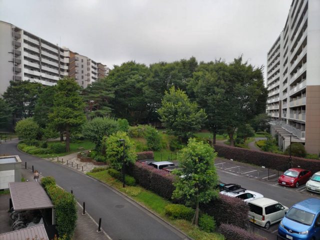 蝉の幼虫から成虫へ！