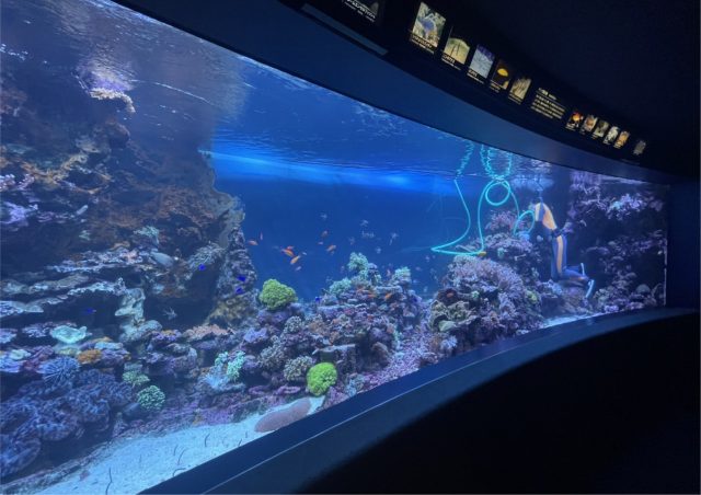 サンシャイン水族館