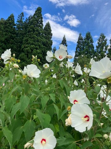 夏の終わり