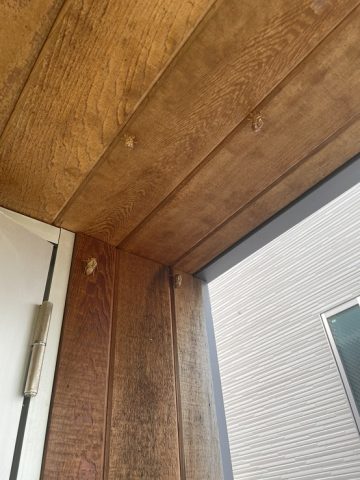 暑い日々が続きます。