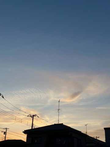 日頃の小さな幸せ。