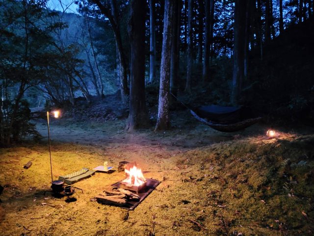 苔キャンプ🏕️