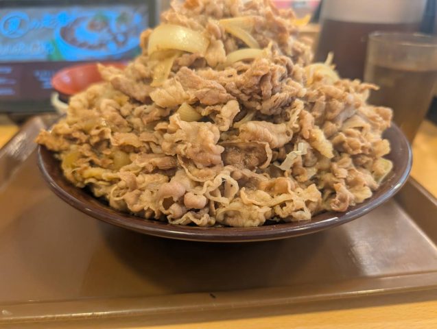 すき家　山かけ牛丼キング♚