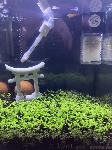 残ったもので・・・