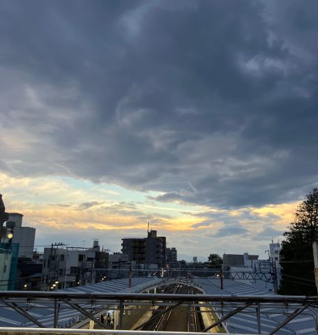 夕日の向こうのジャングル